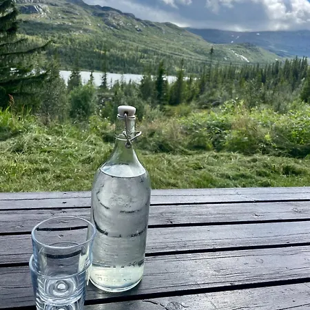 Appartement 3 Bedroom With View By Gaustatoppen Gaustablikk